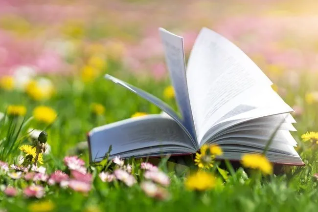Ein aufgeschlagenes Buch auf einer Fr&uuml;hlingswiese voller Blumen.