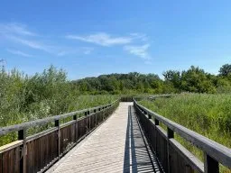 FUN in der Lobau (26)